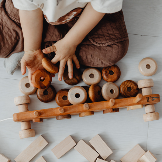 A Comprehensive Guide to Montessori Teaching Toys