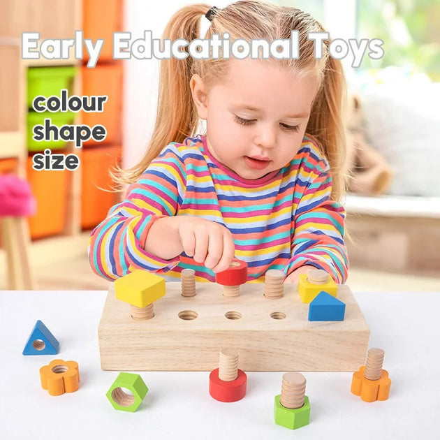 Multifunctional Wooden Bolt Shape Matching Toy - OFunBuds