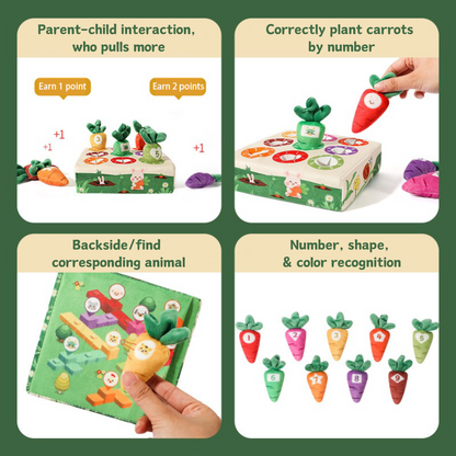 Montessori Carrot Harvest Adventure - OFunBuds