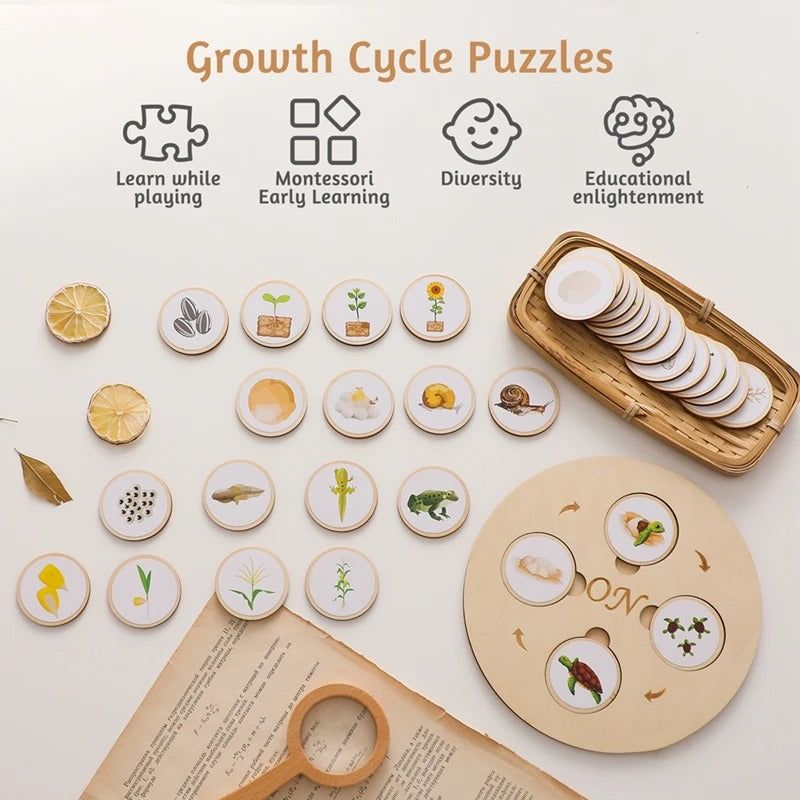 Montessori Growth Cycle Puzzle - OFunBuds