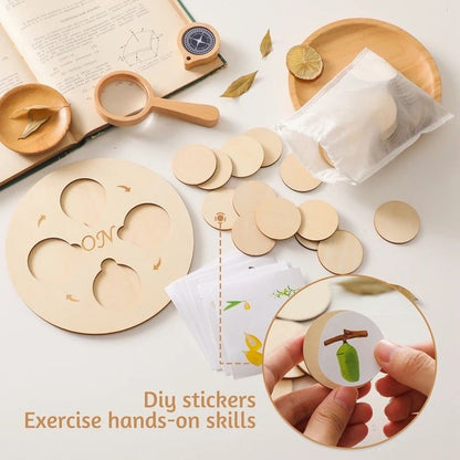 Montessori Growth Cycle Puzzle - OFunBuds