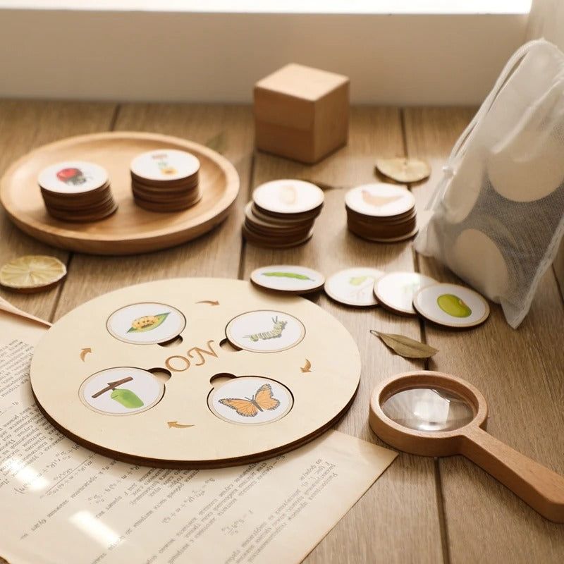 Montessori Growth Cycle Puzzle - OFunBuds