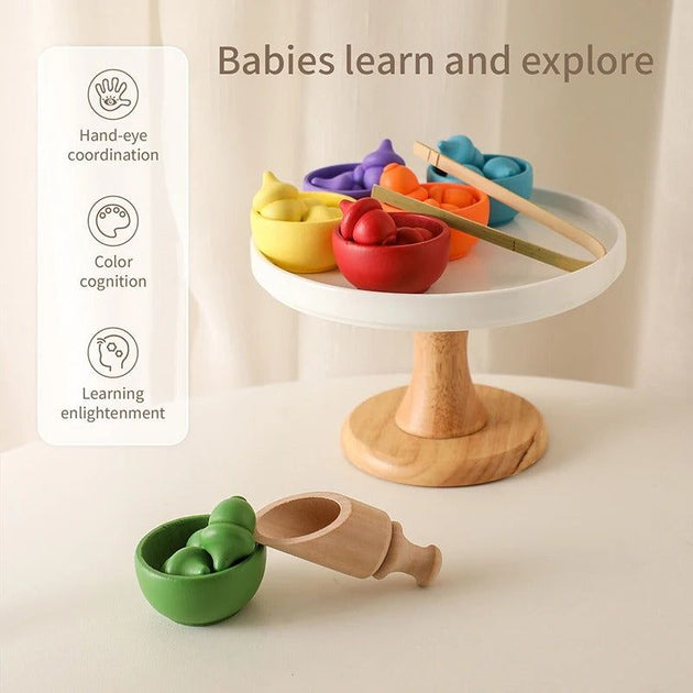 Montessori Rainbow Color Sorting Set - OFunBuds