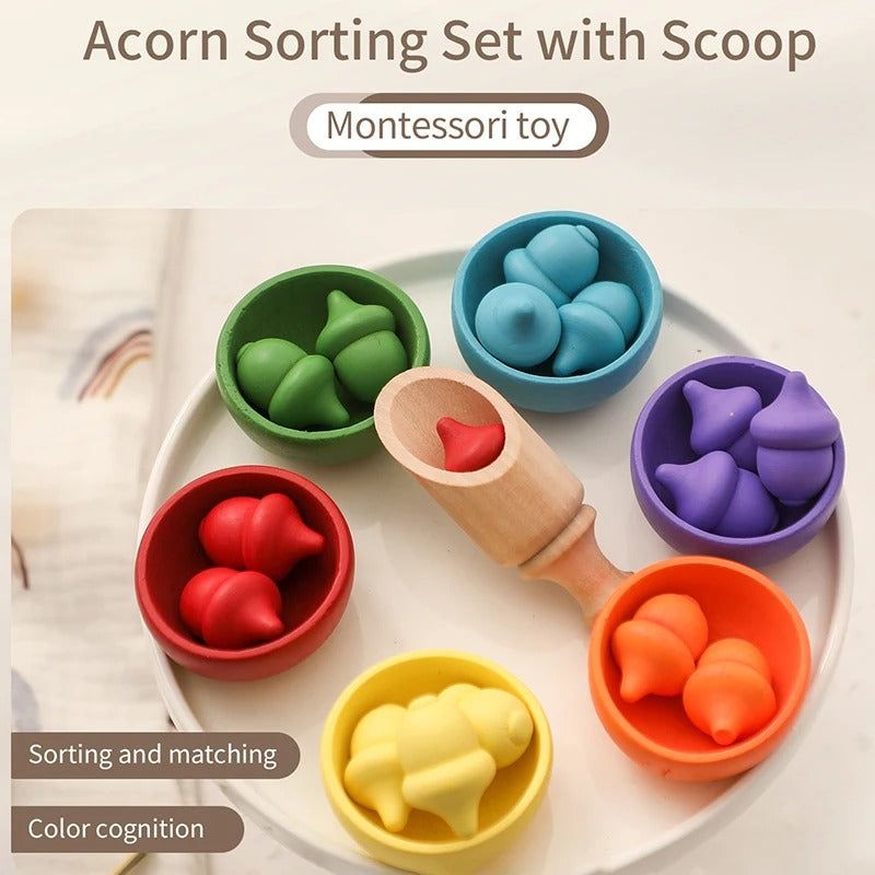Montessori Rainbow Color Sorting Set - OFunBuds