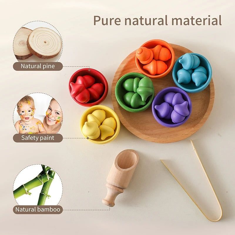 Montessori Rainbow Color Sorting Set - OFunBuds