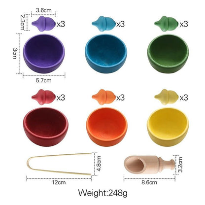 Montessori Rainbow Color Sorting Set - OFunBuds