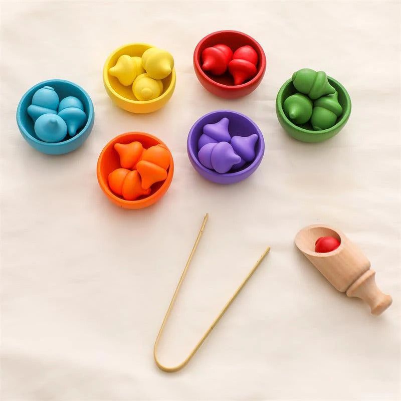 Montessori Rainbow Color Sorting Set - OFunBuds
