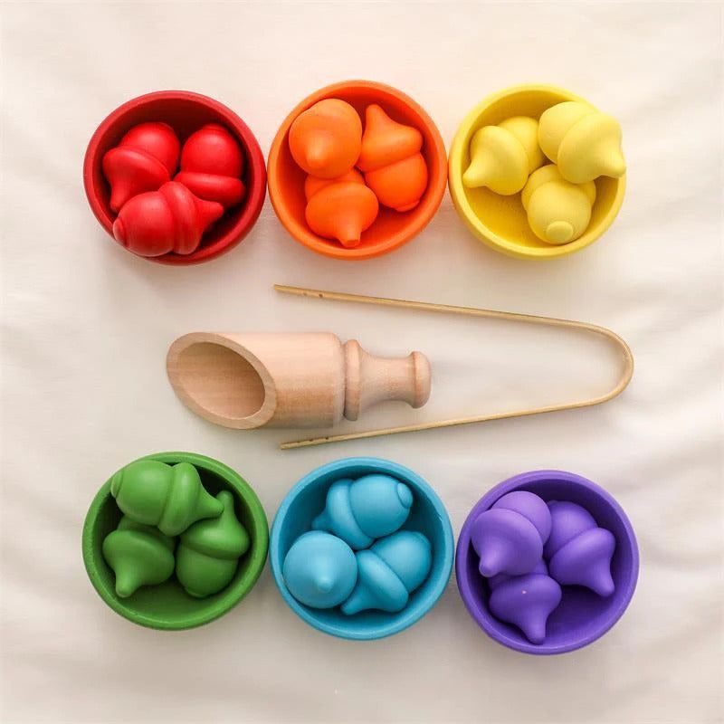 Montessori Rainbow Color Sorting Set - OFunBuds