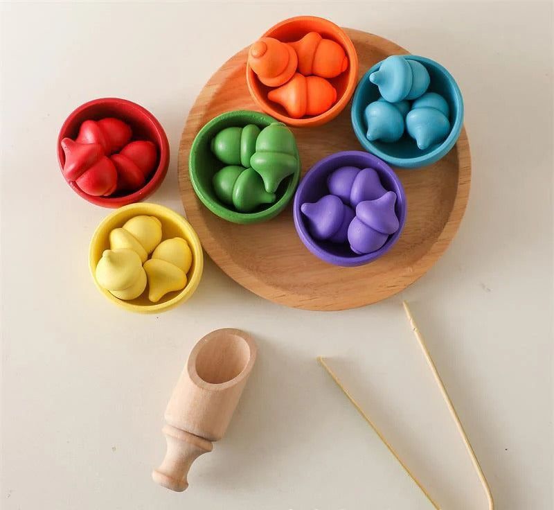 Montessori Rainbow Color Sorting Set - OFunBuds