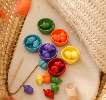 Montessori Rainbow Color Sorting Set - OFunBuds
