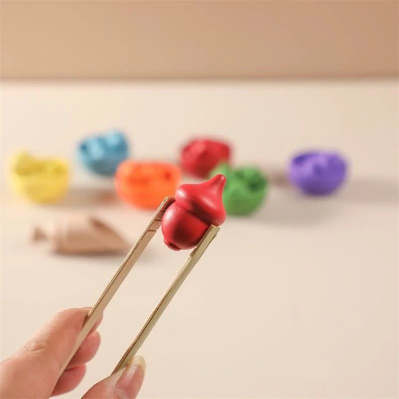Montessori Rainbow Color Sorting Set - OFunBuds