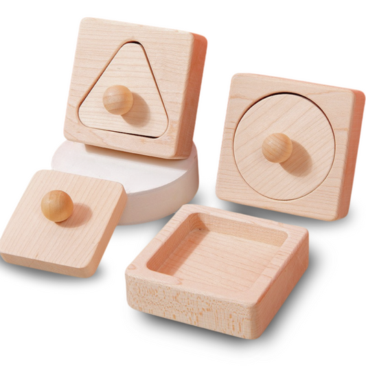 Montessori Shape Matching Blocks Set - OFunBuds