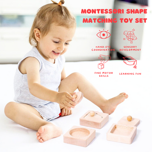 Montessori Shape Matching Blocks Set - OFunBuds