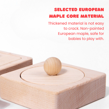Montessori Shape Matching Blocks Set - OFunBuds